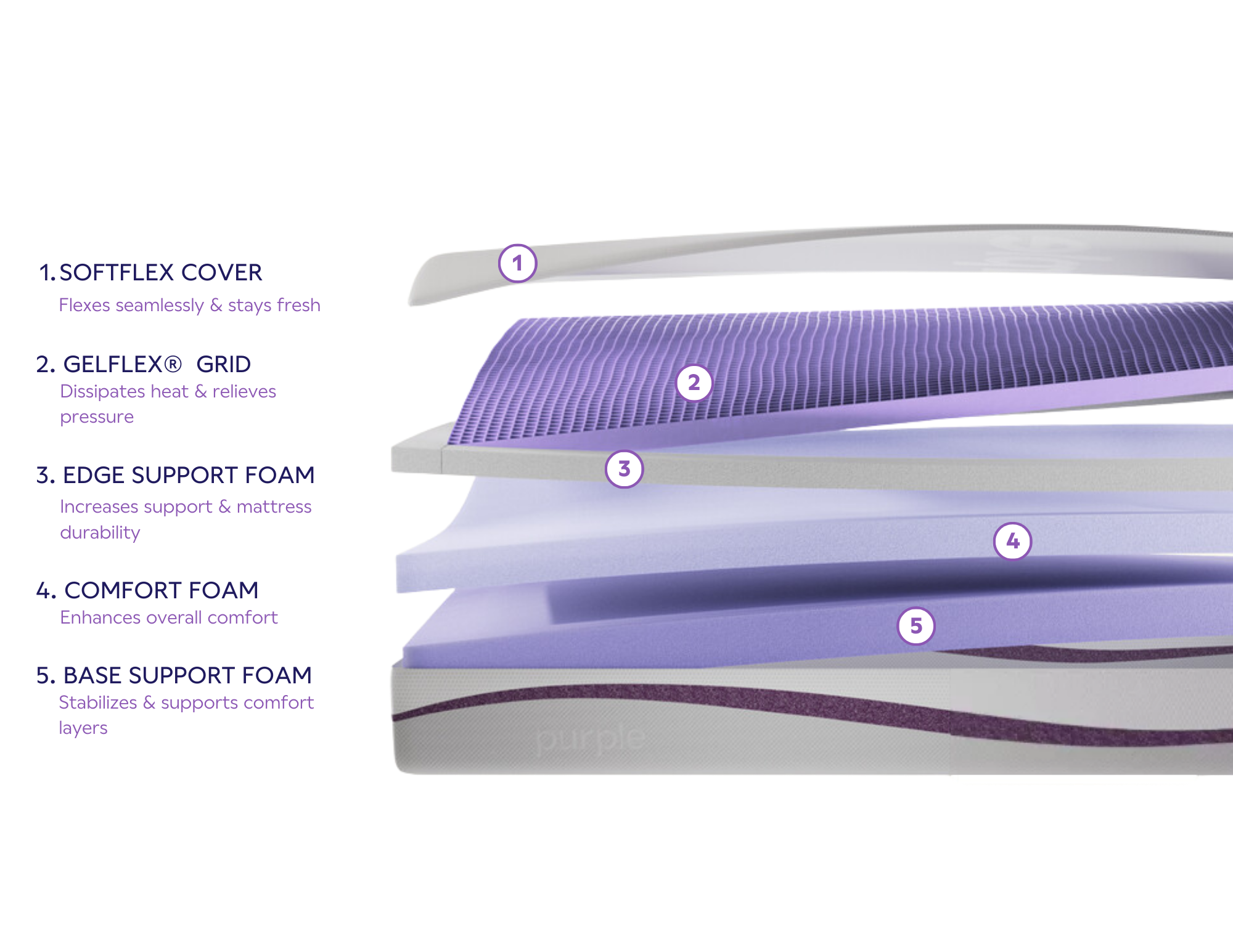 Purple.png